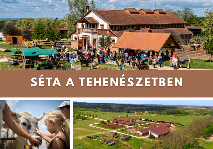 Séta a Tehénvédelmi Központban