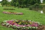 Krisna-völgyi tópart virágokkal