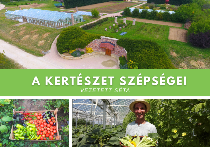 A kertészet szépsége