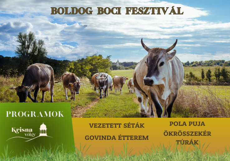 Boldog Boci Fesztivál